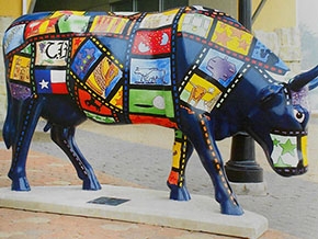 MOOVIE- Life size cow from San Antonio leg of the Cow Parade